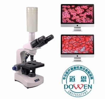 黑背景一滴血檢測儀MDI-305BC