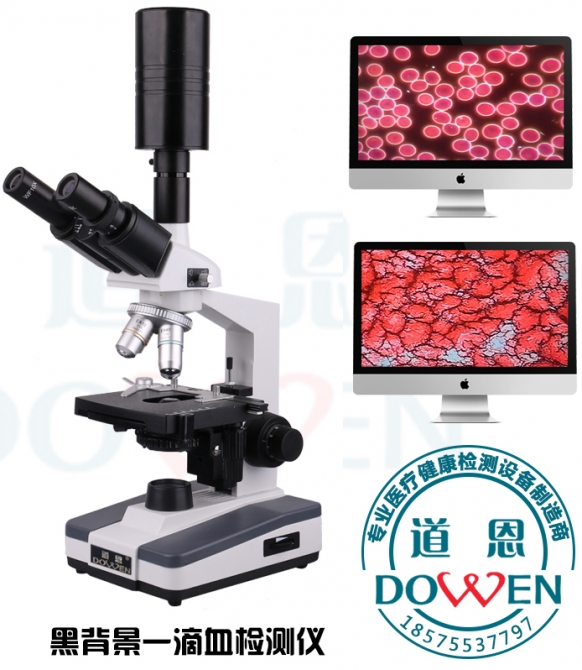 微循環顯微鏡檢查儀(連續變倍)